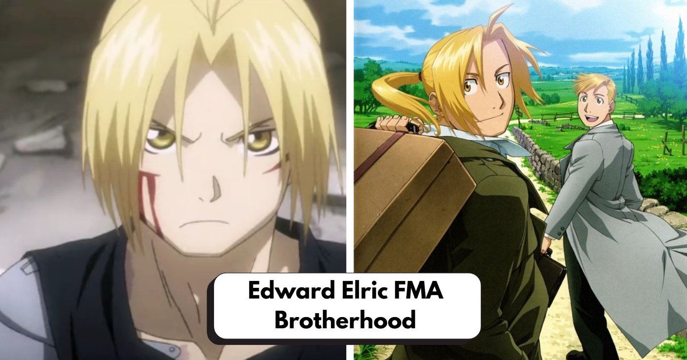 Edward Elric FMA Brotherhood