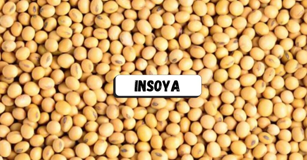 Insoya