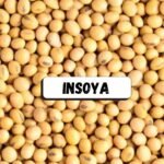 Insoya